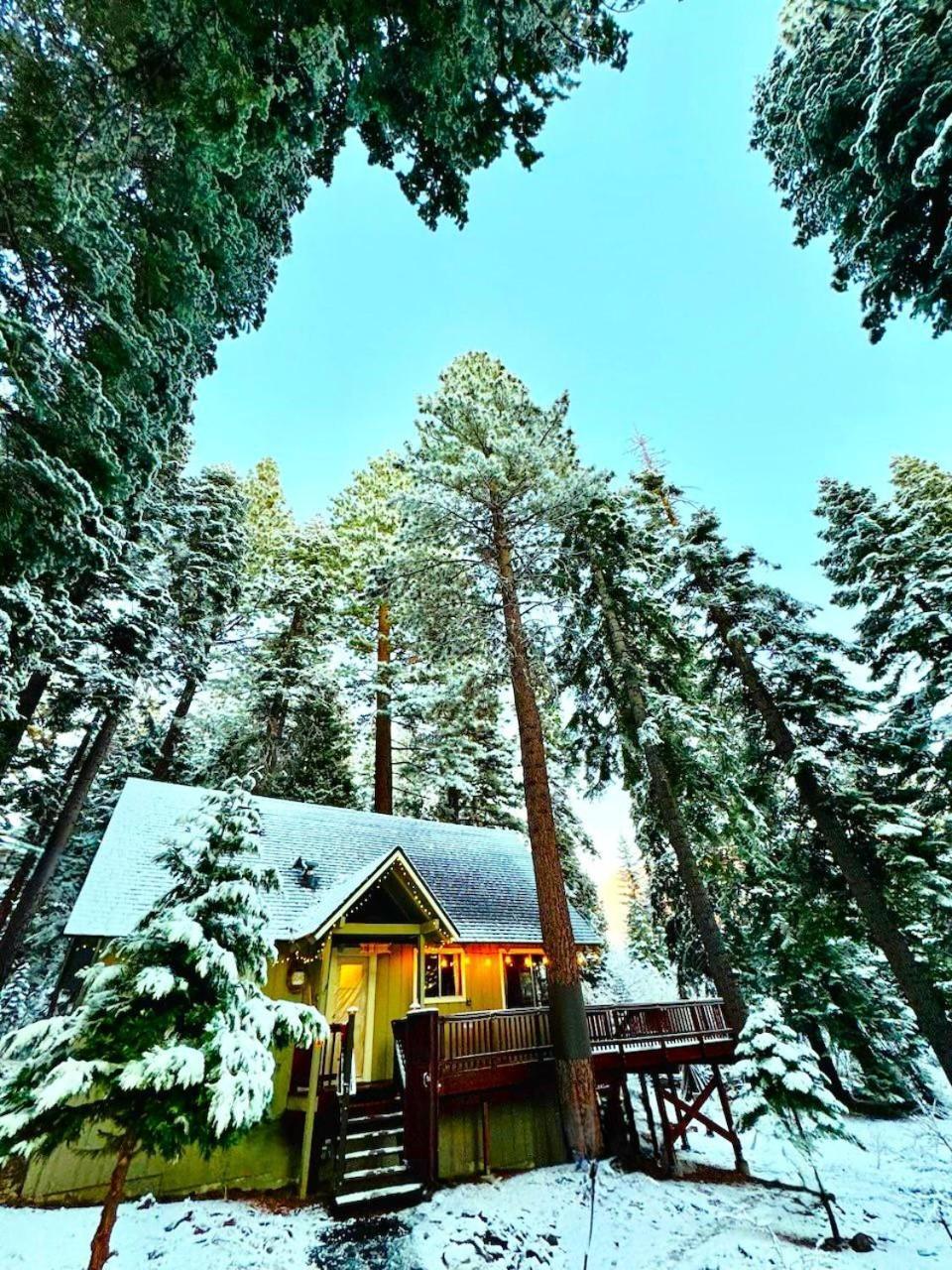The Honey Bear Cabin Carnelian Bay ภายนอก รูปภาพ