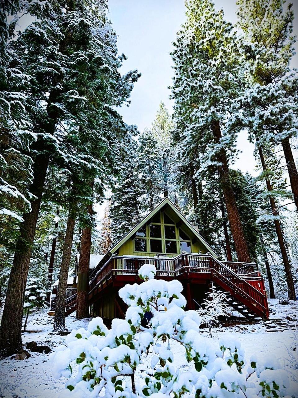 The Honey Bear Cabin Carnelian Bay ภายนอก รูปภาพ