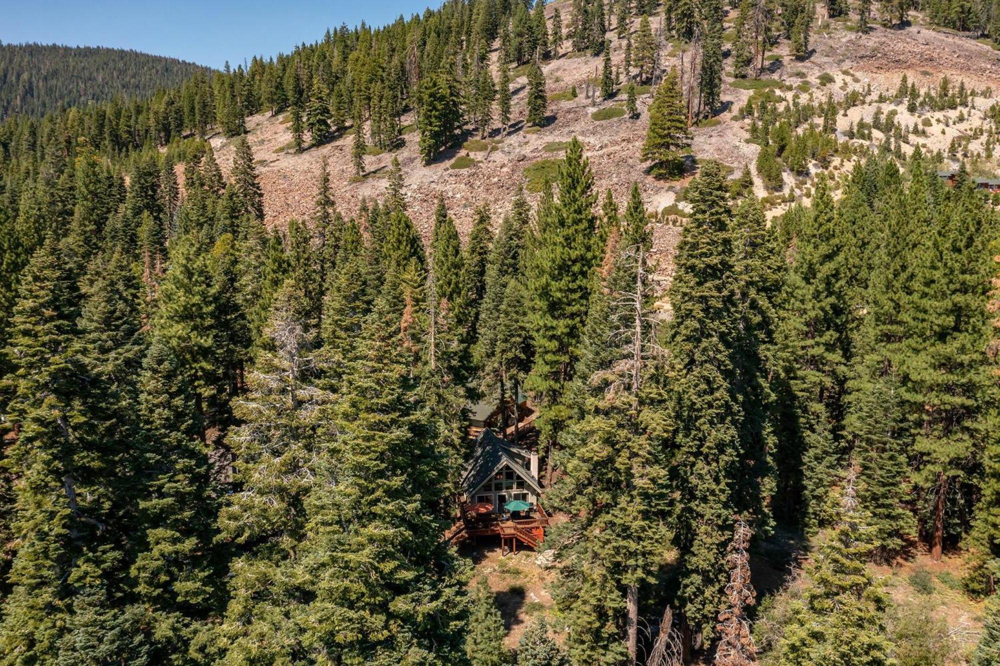 The Honey Bear Cabin Carnelian Bay ภายนอก รูปภาพ